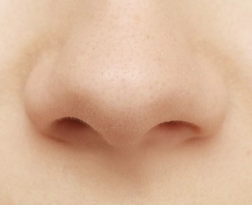 Паразиты в носу человека фото